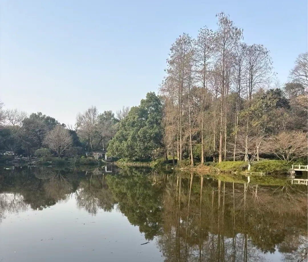 我随手拍了一张照片